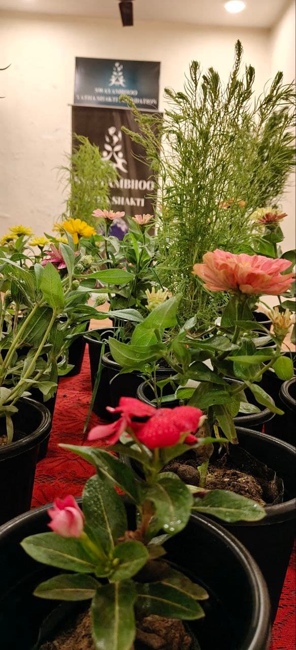 Clean Green Delhi 15