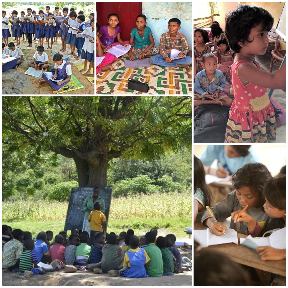 Local education camp with children learning in rural community setting
